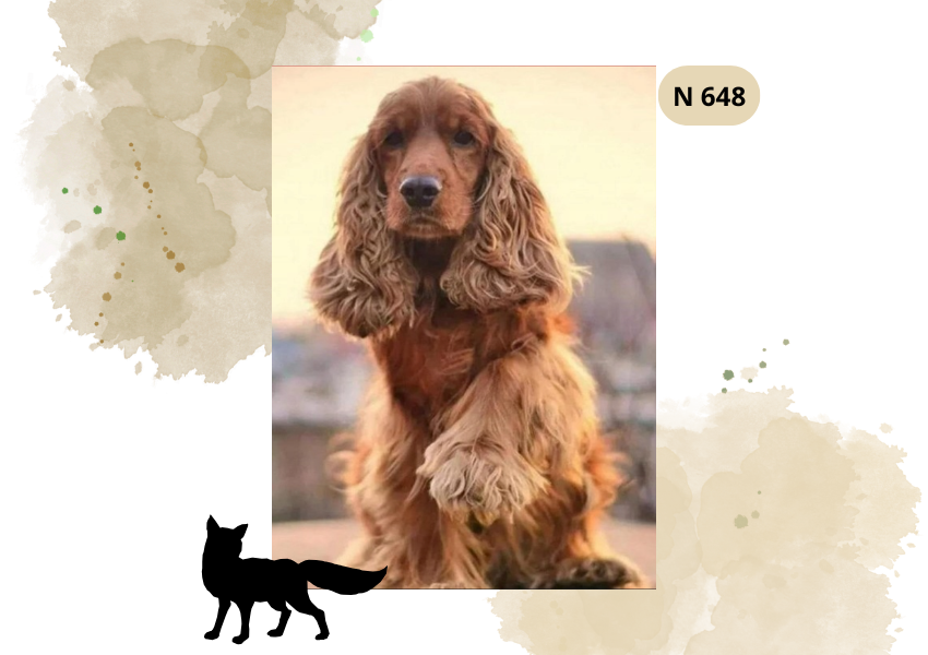 Haft Diamentowy Zwierzęta "Cocker Spaniel"