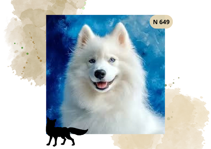 Haft Diamentowy Zwierzęta "Samoyed"
